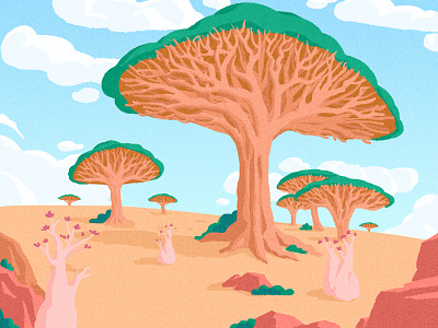 Socotra illustration socotra tree