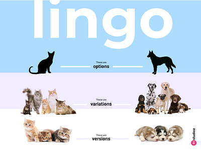 Lingo Dribbble freebie poster poster design process