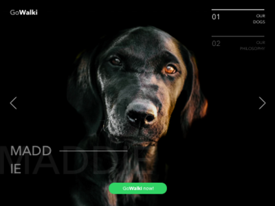 GoWalki landing page community dailyui dogs landing page ux design webdeisgn