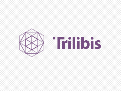 Trilibis Logo geometric logo logotype pattern tesselation