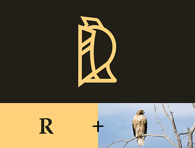 Personal Logo Exploration branding hawk rh