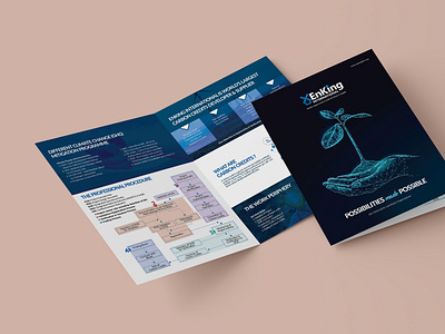 Enking International Brochure brand branding brochuredesign dribbble eddie lobanovskiy graphic design illustra illustration vector