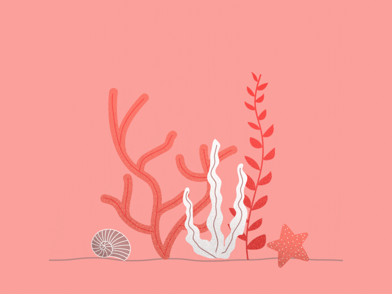 Corals aftereffects coral coral living fishes illustration illustrator motion design sea sealife