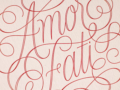 Amor Fati Postcards amor fati lettering letterpress ornaments postcard