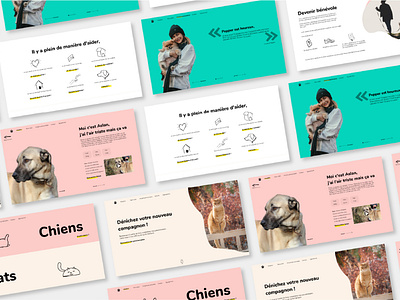 Animal Shelter UI