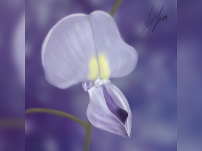 Wisteria - Digital Painting