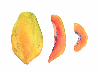 Hand drawn papaya with slices fabric pattern hand drawn illustration painted pattern tropical watercolor