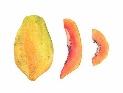 Hand drawn papaya with slices fabric pattern hand drawn illustration painted pattern tropical watercolor