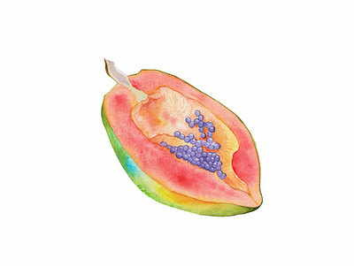 Lovely ripe papaya for poster or print on a t-shirt design hand drawn illustration pattern tropical watercolor