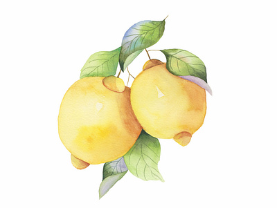 Bright watercolor Mediterranean lemons design hand drawn illustration watercolor