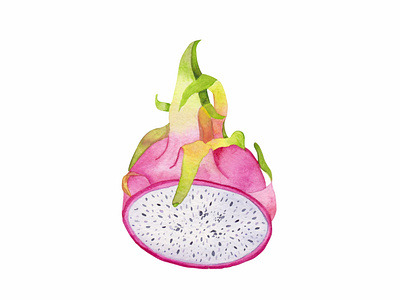 Colorful juicy tropical watercolor dragonfruit half by Anna Popovskaia ...