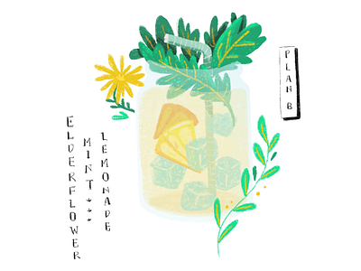 Elderflower Lemonade drink elderflower greens lemonade mint sunny