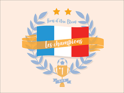 Allez les Bleus! champions fifa world cup france graphic design illustration soccer