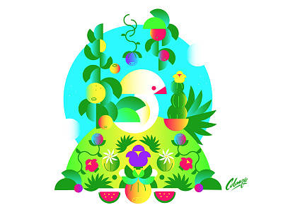 Tropical bird color flowers fruit illustration tropical vector