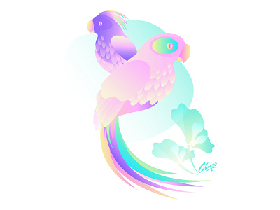 Perroquets bird illustration parrot tropical vector