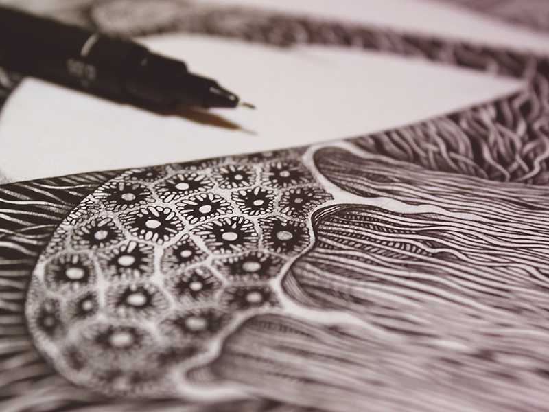Engraved Memories - Detail ocean realistic details inking pencil drawing pencil illustration jelly fish illustration pencils ink drawing fineart