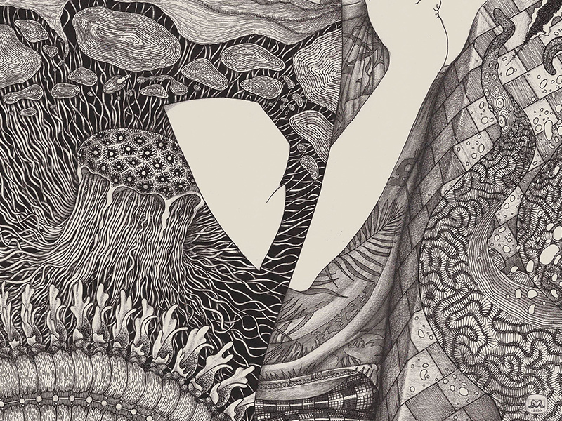 Engraved Memories - Part 1 realistic details inking pencil drawing pencil illustration peakcock illustration pencils ink drawing fineart