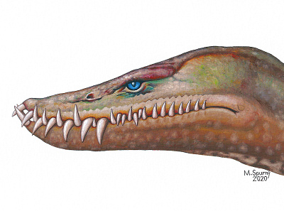 Styxosaurus head animal dinosaur extinct gouache head illustration painting paleoart paleontology plesiosaur reconstruction styxosaurus