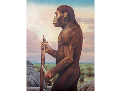 Australopithecus africanus oil painting painting paleoart paleontology prehistoric reconstruction
