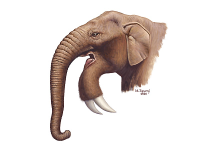 Deinotherium giganteum illustration painting paleoart paleontology reconstruction