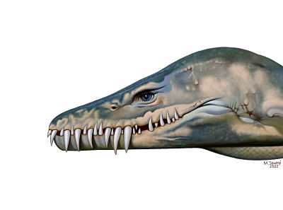 Hydrotherosaurus animal extinct illustration painting paleoart paleontology reconstruction