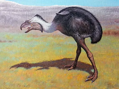 Phorusrhacos inflatus animal bird dino dinosaur extinct gouache painting paleoart paleontology prehistoric