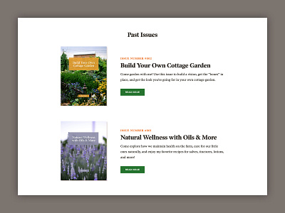 The Elliott Homestead - Issues Layout archive green orange webdesign website