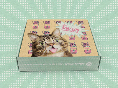 Lil Bub Pop Art Subscription Box cat color design illustration limited color packaging pop art product design subscription box vector