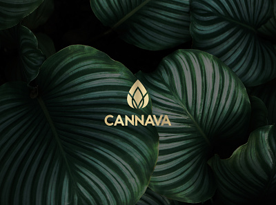 Cannava CBD Branding botanical brand branding branding agency cannabis cbd cbdoil design earth leaf logo mark nashville natural tincture