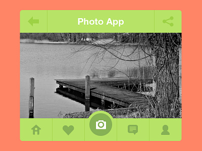 Photo App batch icons bnw cam camera camera app comment flat green heart home instagram ios iphone like mobile nature orange photo photo app previous share ui user ux