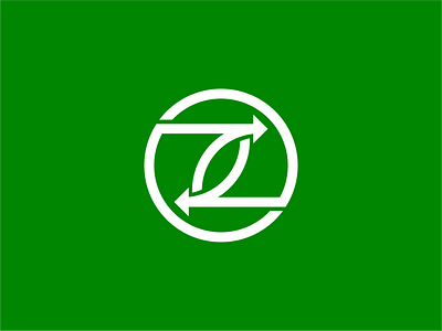 ecological arrow eco z