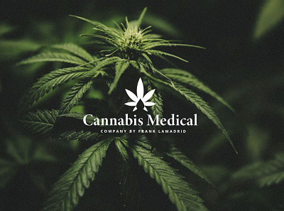 Cannabis Medical brand identity branding branding design cannabis cannabis branding cannabis logo design designer logotype