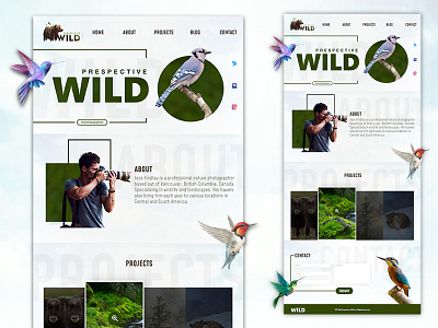 Wild Prespective Website - Landing Page 2d adobe xd app art brand design flat illustraion photography photoshop typography ui uidesign uiux uxdesign vector web website website design