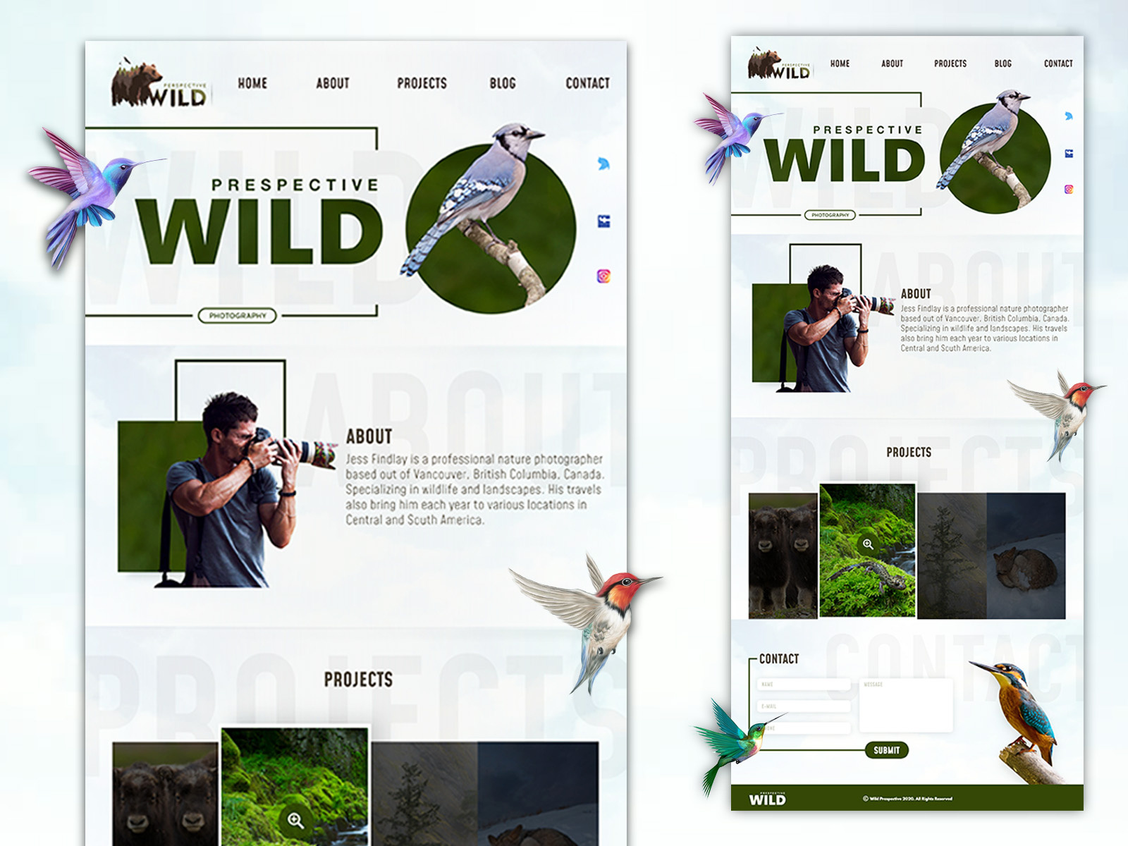 Wild Prespective Website - Landing Page by PARUCHURE RAMARAO on Dribbble