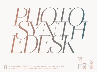 Photosynthedesk modern plants type
