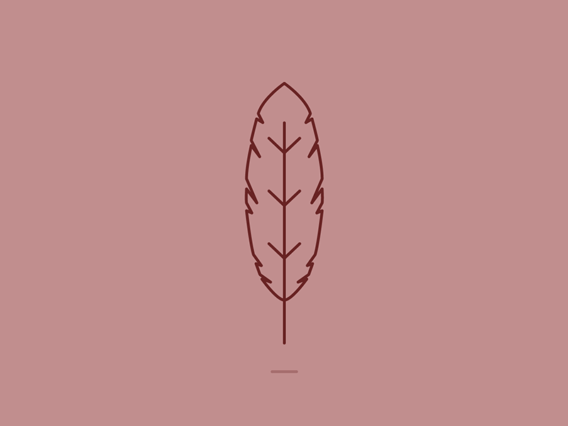 Float 30daychallenge animation drawing feather float gif icon illustration practice witchy