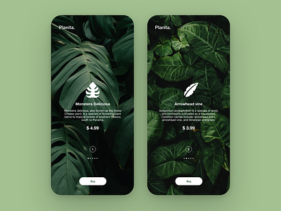 Planita - Plants buying app app cart colors dribbble graphic mobile app mobile ui plants screen shopping ui ux vector