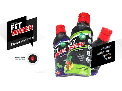FitWater Product and Site 2d 3d 3dsmax adobe fireworks css html js php v ray