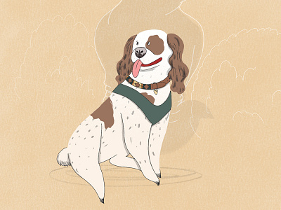Laid Back Spaniel collar companion dog owner doggy dogs leash owner spaniel tongue vancouver woof