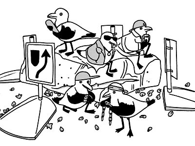 The Roundabout Gang birds blackandwhite bw digital drawing funny gang humor illustration outline seagull