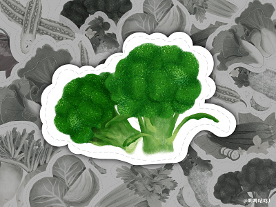 Broccoli illustration