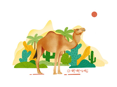 Camel illustration