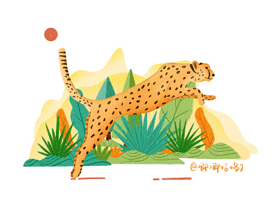 Leopard illustration