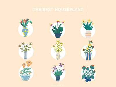 THE BEST HOUSEPLANT illustration