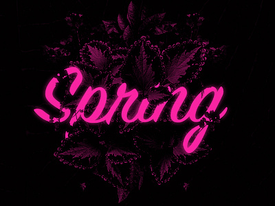 Spring dark flowers neon pink poster spring