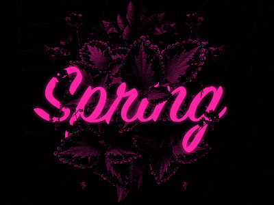 Spring