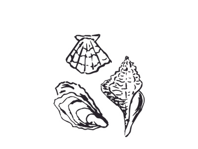 Shells