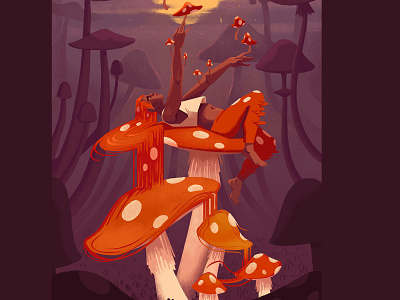 Mushroom 1 fungi growing mushroom night spores
