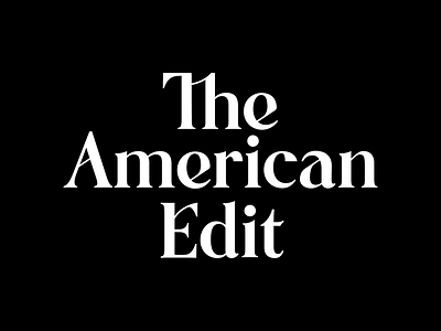 The American Edit Logotype american custom design elegant lettering logo type typography vector