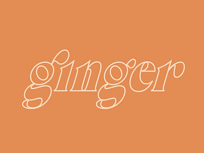 Ginger type art black branding clean color design flat graphic design graphic illustration icon identity illustration lettering logo logotype minimal type typography vector
